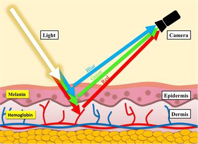 <mark class="highlighted">Transdermal Optical Imaging</mark> Reveal Basal Stress via Heart Rate Variability Analysis: A Novel Methodology Comparable to Electrocardiography